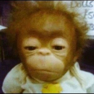 Meet your Posher, Marcos